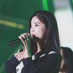 깐<b>초롱</b> vs 덮<b>초롱</b>