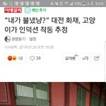 [댓글부탁해] 이 고양이 깜빵<b>가야</b>되는거 아니냐;;;