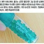 [댓글부탁해] 나 여행계획 좀 도와조 ㅜㅜㅜㅜ