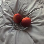 [댓글부탁해] 할짓 없어서 복숭아 <b>갬성적</b>으로 찍어봄 ㅇㄸ??