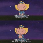 [댓글부탁해] 인스타 유명강아지 아는사람있어?
