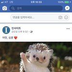 [댓글부탁해] 야들아 나 남친 만나러가는데 도와조