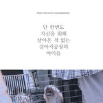 이제는 보살핌을 받고픈 강아지공장에서 구조된 아이들