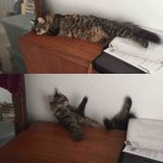 얘들아 이게 몰까?ㅠㅠ