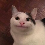 나 덕질 5년한 본진 있었는데