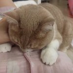 [댓글부탁해] 나한테 ㅈㄴ <b>시비터</b>는 애랑 싸우고 싶어