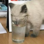 [댓글부탁해] <b>찬물</b>로 씻는다 못씻는다 추반