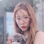 태연 댕댕이 <b>제로</b>