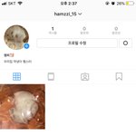 [드루와] 우리집 <b>햄스터</b> 인스타 계정 만들었어!