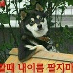 [드루와] 열 40도까지 오른 적 있는데 어떤 상태가 되냐면