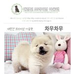 [EXO] 얘네들에 비하면 <b>노안</b> ㄱㅇㅇ ㅠㅠ