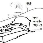_같애 나만 콘 <b>못가</b> ____