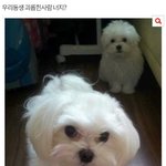 [드루와] <b>상큼</b>한 여자노래 추천쥼해줘