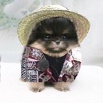 [방탄소년단] 티저 빨리 안나오는 이유는