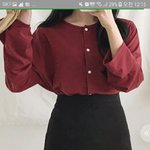 옷 추반좀