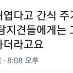 [방탄소년단] (봐줘) 콘서트 공지에 <b>탐지견</b>