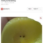 얘들아 나 예전애 쓴 글 너무 귀여움 ㅋㅋㅋㅋ