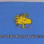 [드루와] 새벽감성 글짓기대회 하쟈