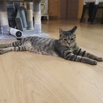 정말 오랜만에 올리네요~~^^