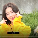[모모랜드] 모모랜드 아육대 출근 풀클립 ㄱㄱ
