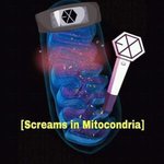 [EXO] 430여만 마리의 <b>미토콘드리아</b>가 하는말