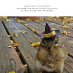 [<b>명랑</b>엽떡] 욕심 많은 다람쥐