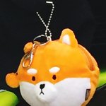 [댓글부탁해] 내 뎽뎽한 <b>동전</b>지갑 보고가러