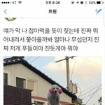 [드루와] 내일 <b>휴교</b>안하면 발생하는 상황