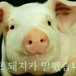 경기도 휴교는 교장 <b>자율</b>이래