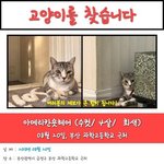 헉 <b>어뜩</b>해... 부산 사는 친구들아