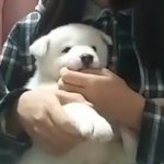 아 휴교고 자시고 <b>태풍</b> ㅈㄴ 걱정 돼,,