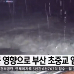 속보) 부산 초중교 휴교 <b>조치</b>!!!!!!!!!!!!!