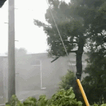 걍 <b>전국</b> 휴교 해 ㅈㅂ 개답답함