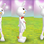 <b>테</b>런 토끼<b>옷</b> 뭐가 더 ㄱㅊ냐