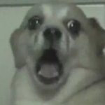 [방탄소년단] 긴급!!)아미들 티저그만보고 빨리!!!