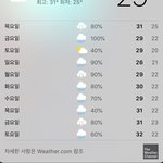 이번주는 <b>우산</b>만 챙겨야댐 ?