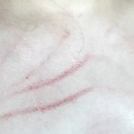 [정상인가] 언니 때리는 동생