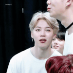 [방탄소년단] 진짜 탄이들은
