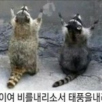 [드루와] 서울 비온다면서 <b>매미</b> 조카움