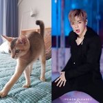 [강<b>다니엘</b>] 아니 이건 대체 뭐냐고ㅋㅋㅋㅋㅋㅋ