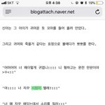 [댓글부탁해] 아빠는 일진짱 정주<b>행중</b>인데 맞춤법 어떡하냐 진짴ㅋㅋㅋㅋㅋ