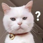 <b>피코</b>가 뭐야?