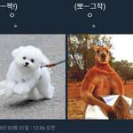 [댓글부탁해] 야ㅅㅂ나_댐어케