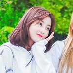 트와이스 단발 4대장