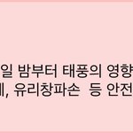 [드루와] 서울경기는 내일새벽4시부터 <b>피크</b>임