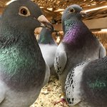 [속보] 수도권 초•중•고교 <b>휴교</b> 취소한다