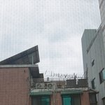 앞집 조온나 걱정되는게