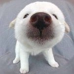 [댓글부탁해] 태풍때문에 <b>티비</b> <b>맛</b>가서 mbc밖에 안나오는데