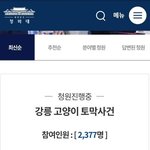 [무한공유/청원진행중] 강릉 고양이  <b>토막</b>사건