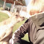 [박우진] 박우진 공카 프사 바꿈 !!!!!!!!!!!!